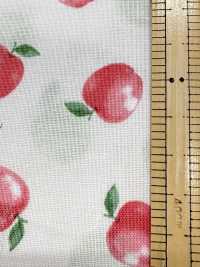 AP61111 MRS. قماش شيتينغ ليلكي (رول)[Textile / Fabric] COSMO TEXTILE صور إضافية