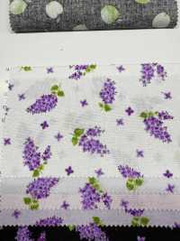 AP61111-DR MRS. قماش شيتينغ باللون الأرجواني الفاتح (نصف مطوي)[نسيج / قماش] COSMO TEXTILE صور إضافية