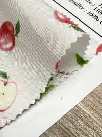 AP61111-DR MRS. قماش شيتينغ باللون الأرجواني الفاتح (نصف مطوي)[نسيج / قماش] COSMO TEXTILE صور إضافية