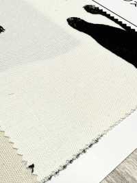 AP52101-DR أوكسفورد أسود (طيّة نصفية)[نسيج / قماش] COSMO TEXTILE صور إضافية