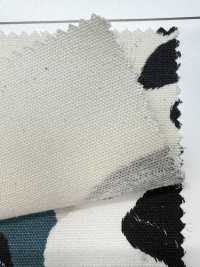 AP35406 Animal Oxford (رول)[نسيج / قماش] COSMO TEXTILE صور إضافية