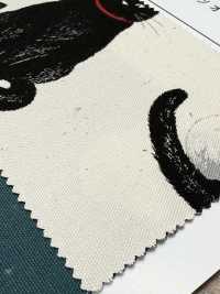 AP35406-DR دوبوتسو أكسفورد (نصف مطوي)[Textile / Fabric] COSMO TEXTILE صور إضافية