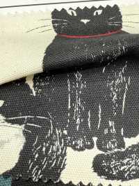 AP35406-DR دوبوتسو أكسفورد (نصف مطوي)[Textile / Fabric] COSMO TEXTILE صور إضافية