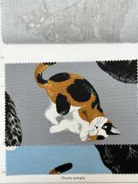 AP35406-DR دوبوتسو أكسفورد (نصف مطوي)[Textile / Fabric] COSMO TEXTILE صور إضافية