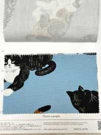 AP35406-DR دوبوتسو أكسفورد (نصف مطوي)[Textile / Fabric] COSMO TEXTILE صور إضافية