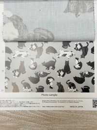 AP35406-DR دوبوتسو أكسفورد (نصف مطوي)[Textile / Fabric] COSMO TEXTILE صور إضافية