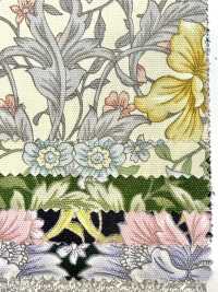 AP55808 Essential Grace 2 Oxford (رول)[نسيج / قماش] COSMO TEXTILE صور إضافية