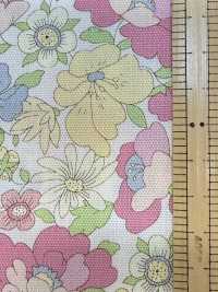 AP55808 Essential Grace 2 Oxford (رول)[نسيج / قماش] COSMO TEXTILE صور إضافية