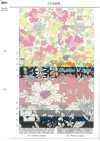AP55808 Essential Grace 2 Oxford (رول)