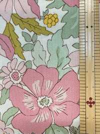 AP55808-DR Essential Grace 2 Oxford (طيّ نصفي)[نسيج / قماش] COSMO TEXTILE صور إضافية