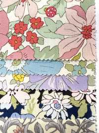 AP55808-DR Essential Grace 2 Oxford (طيّ نصفي)[نسيج / قماش] COSMO TEXTILE صور إضافية