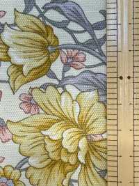 AP55808-DR Essential Grace 2 Oxford (طيّ نصفي)[نسيج / قماش] COSMO TEXTILE صور إضافية