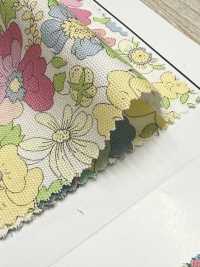 AP55808-DR Essential Grace 2 Oxford (طيّ نصفي)[نسيج / قماش] COSMO TEXTILE صور إضافية