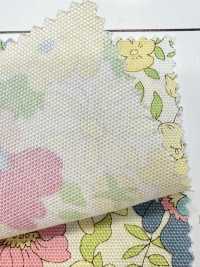 AP55808-DR Essential Grace 2 Oxford (طيّ نصفي)[نسيج / قماش] COSMO TEXTILE صور إضافية