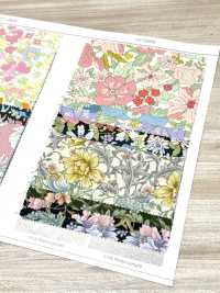 AP55808-DR Essential Grace 2 Oxford (طيّ نصفي)[نسيج / قماش] COSMO TEXTILE صور إضافية