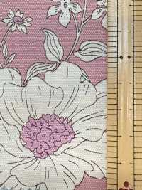 AP55808-DR Essential Grace 2 Oxford (طيّ نصفي)[نسيج / قماش] COSMO TEXTILE صور إضافية