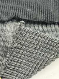 RS555 خيط Rib Russell مطاطي 5 خيوط 1 خيط 2x1 عرض 60cm[Rib Knit] TAKENAKA CORPORATION صور إضافية