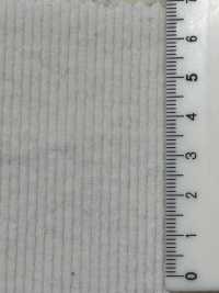 A-8135 11W كوردروي سيكرسير قطني مطاطي[نسيج / قماش] أرينوبي شوتن صور إضافية