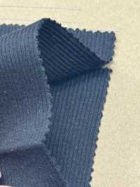 OV525 قماش ريب TERECO 30/-[Textile / Fabric] Fujisaki Textile صور إضافية