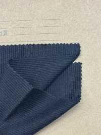 OV525 قماش ريب TERECO 30/-[Textile / Fabric] Fujisaki Textile صور إضافية