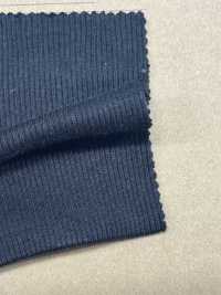 OV525 قماش ريب TERECO 30/-[Textile / Fabric] Fujisaki Textile صور إضافية