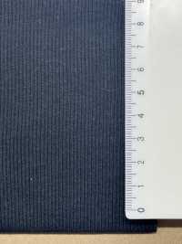 OV525 قماش ريب TERECO 30/-[Textile / Fabric] Fujisaki Textile صور إضافية