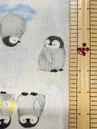 AP55202-DR Mini Fuwafriends شيتينغ (نصف مطوي)[نسيج / قماش] COSMO TEXTILE صور إضافية