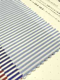 LS-1 60/1 مخطط لندن[نسيج / قماش] Kuwamura Textile صور إضافية