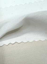 1830 برودكلوث من ألياف مودال Tencel™ بولي[نسيج / قماش] Kuwamura Textile صور إضافية