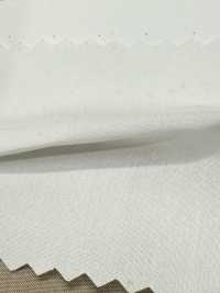 SBT-003 سادة ECO عضوي[نسيج / قماش] Kuwamura Textile صور إضافية