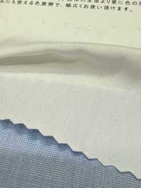 2190 80/2 شامبراي لامع منسوج طرفًا بطرف[نسيج / قماش] Kuwamura Textile صور إضافية