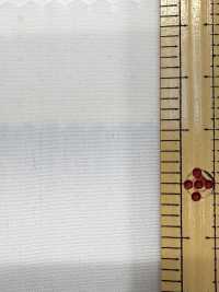 2190 80/2 شامبراي لامع منسوج طرفًا بطرف[نسيج / قماش] Kuwamura Textile صور إضافية