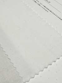 2030 40/1 قطن كتان مانع للزغب[نسيج / قماش] Kuwamura Textile صور إضافية