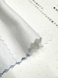 2050 أوكسفورد شامبراي[نسيج / قماش] Kuwamura Textile صور إضافية