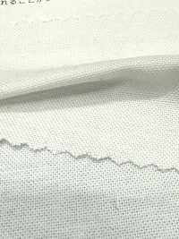 2050 أوكسفورد شامبراي[نسيج / قماش] Kuwamura Textile صور إضافية