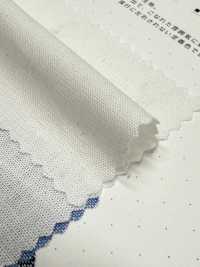 1200 20/1 دانغري[نسيج / قماش] Kuwamura Textile صور إضافية