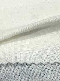 1200 20/1 دانغري[نسيج / قماش] Kuwamura Textile صور إضافية