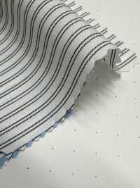 SBT-015 ECO مخطط[Textile / Fabric] Kuwamura Textile صور إضافية