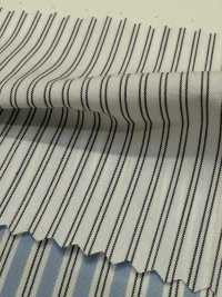 SBT-015 ECO مخطط[Textile / Fabric] Kuwamura Textile صور إضافية