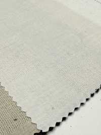 CHL-6341 قطن كتان باناما مربعات كبيرة[نسيج / قماش] Kuwamura Textile صور إضافية