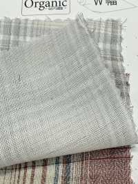 SBT-025 شاش مزدوج عضوي[Textile / Fabric] Kuwamura Textile صور إضافية