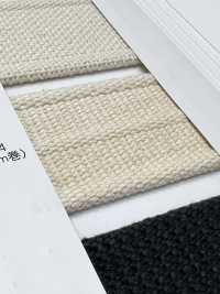 NO5502-24 شريط حزام منسوج مخطط بحافة منسوجة[Ribbons, Tapes, And Cords] RIVER صور إضافية