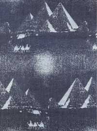 A-1728 جاكار دنيم[نسيج / قماش] أرينوبي شوتن صور إضافية