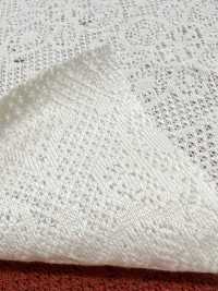 7026-430-1 دانتيل جاكار هندسي[Textile / Fabric] HOKKOH صور إضافية