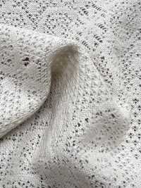 7026-430-1 دانتيل جاكار هندسي[Textile / Fabric] HOKKOH صور إضافية
