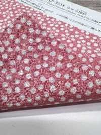 KKP3338-D-KOUME نينوكوشي تشيريمن® نقش أزهار البرقوق الصغيرة[نسيج / قماش] Uni Textile (Komon Kobo) صور إضافية