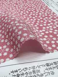 KKP3338-D-KOUME نينوكوشي تشيريمن® نقش أزهار البرقوق الصغيرة[نسيج / قماش] Uni Textile (Komon Kobo) صور إضافية
