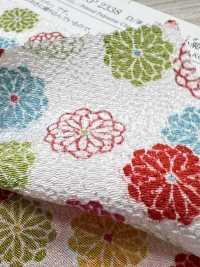 KKP2338-D-HAIKARA تشيريمين® مزدوج النسج Haikara Kogiku[نسيج / قماش] Uni Textile (Komon Kobo) صور إضافية