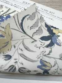 KKP3600-DSB-817 فينوس ديشين الجديد[نسيج / قماش] Uni Textile (Komon Kobo) صور إضافية