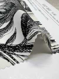KKP3601-D66 New Venus ديشين[نسيج / قماش] Uni Textile (Komon Kobo) صور إضافية